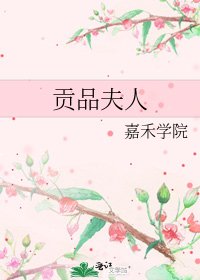 贡品夫人