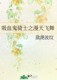 吸血鬼骑士之漫天飞舞
