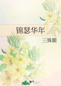 锦瑟华年