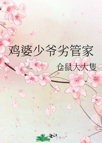 鸡婆少爷劣管家