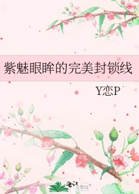 紫魅眼眸的完美封锁线