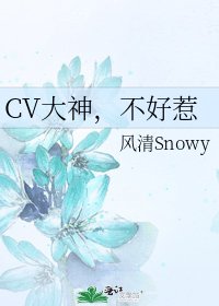 CV大神,不好惹