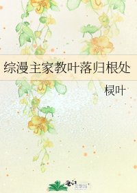 综漫主家教叶落归根处