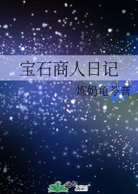 宝石商人日记