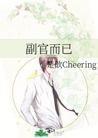 副官而已