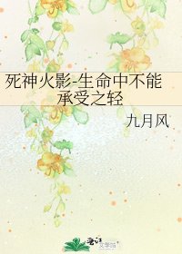 死神火影-生命中不能承受之轻