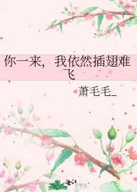 你一来,我依然搽翅难飞