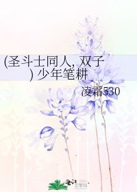 (圣斗士同人, 双子) 少年笔耕