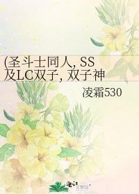 (聖鬥士同人, SS及LC雙子, 雙子神) 我的寵物寶貝