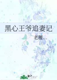 黑心王爷追妻记