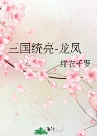 三国统亮-龙凤
