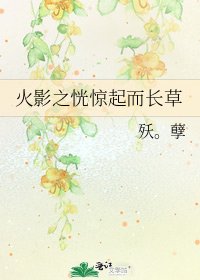 火影之恍惊起而长草