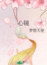 心镜