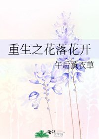 重生之花落花开