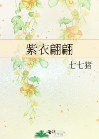 紫衣翩翩