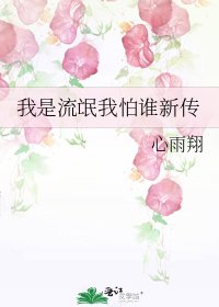 我是流氓我怕谁新传