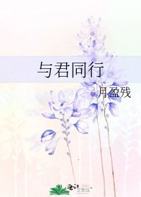 与君同行