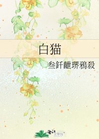 白猫