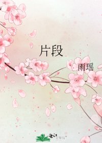 片段