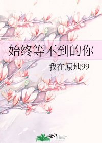 始终等不到的你