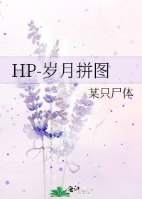 HP-岁月拼图