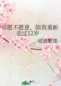 你愿不愿意,陪我重新走过12岁