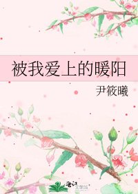 被我爱上的暖阳
