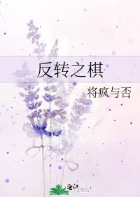 反转之棋