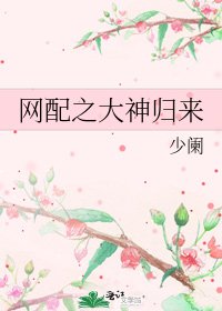 網配之大神歸來