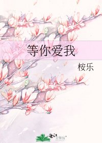 等你爱我