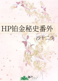 HP铂金秘史番外