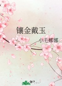 鑲金戴玉