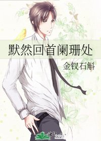 默然回首阑珊处