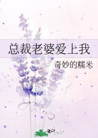 总裁老婆爱上我