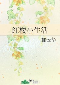 红楼小生活