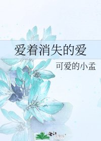 爱着消失的爱