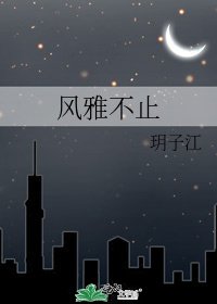 风雅不止
