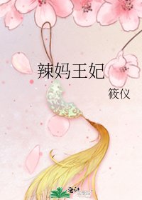 辣妈王妃