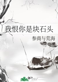 我恨你是块石头