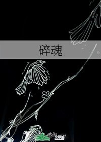 碎魂