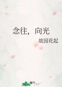 念往,向光