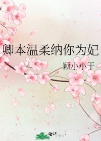 卿本温柔纳你为妃