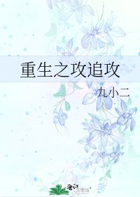 重生之攻追攻