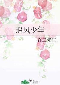 《追风少年》