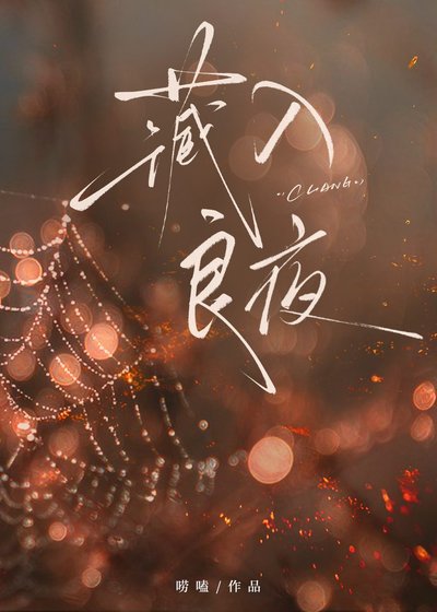 藏入良夜