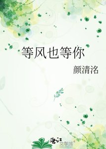 等风也等你