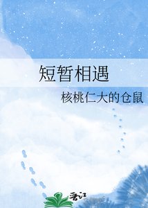 短暫相遇