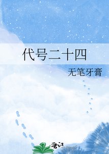 代号二十四