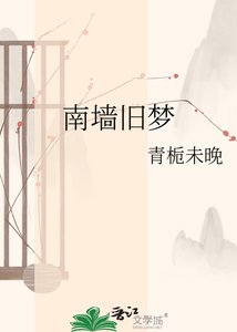 南墙旧梦