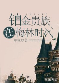 (BL/HP同人)铂金贵族在梅林时代